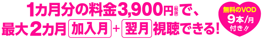 1カ月分の料金3,900円(税抜)で、最大2カ月「加入月」+「翌月」視聴できる!