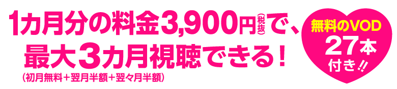 1カ月分の料金3,900円(税抜)で、最大3カ月「加入月」+「翌月」視聴できる!