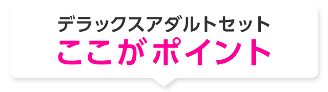 デラックスアダルトセット ここがポイント